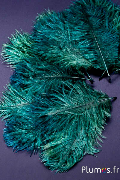 Autruche Bellies - 8-13 cm - vert sapin